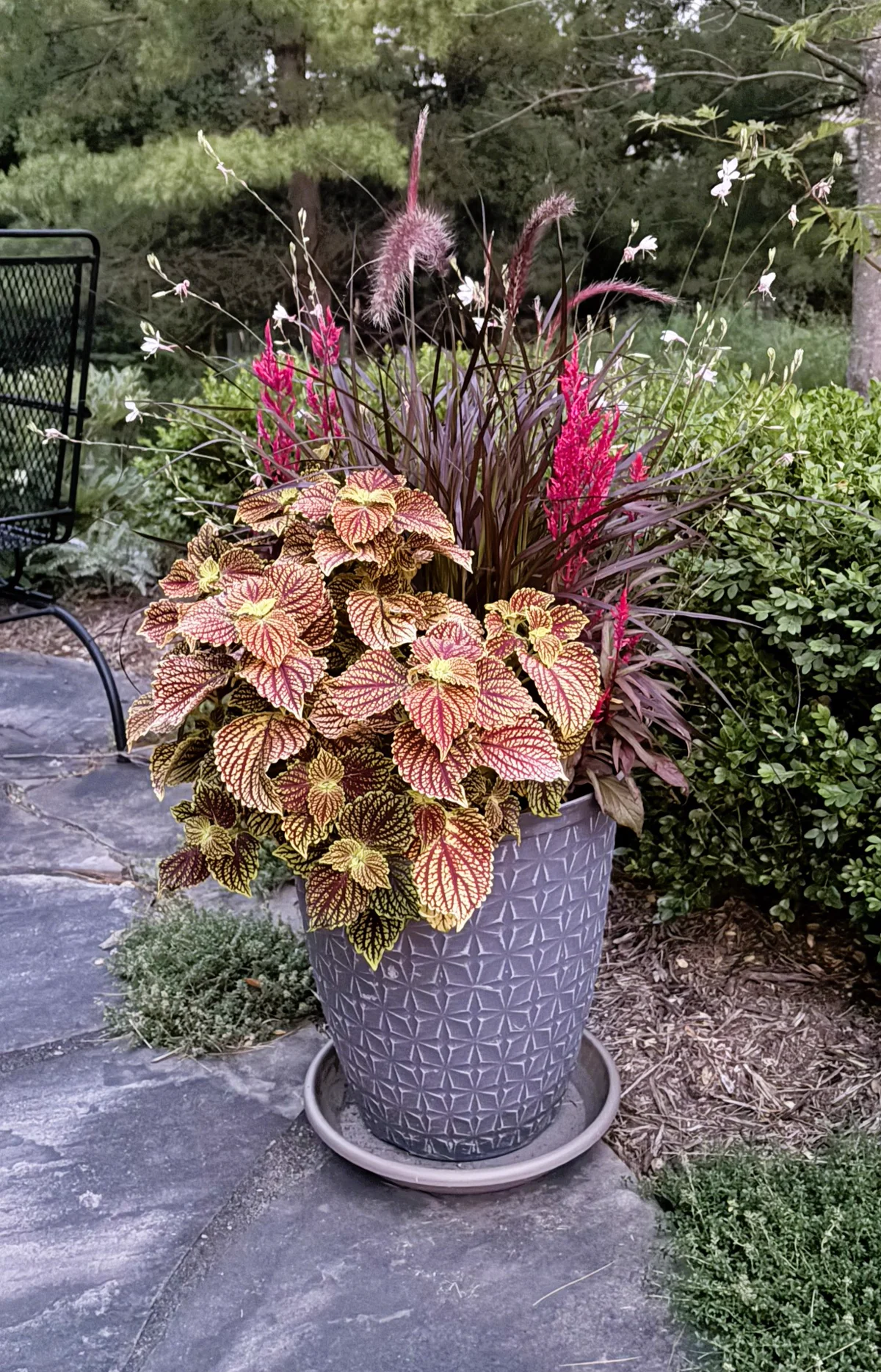 Container Plantings — Refreshed Container