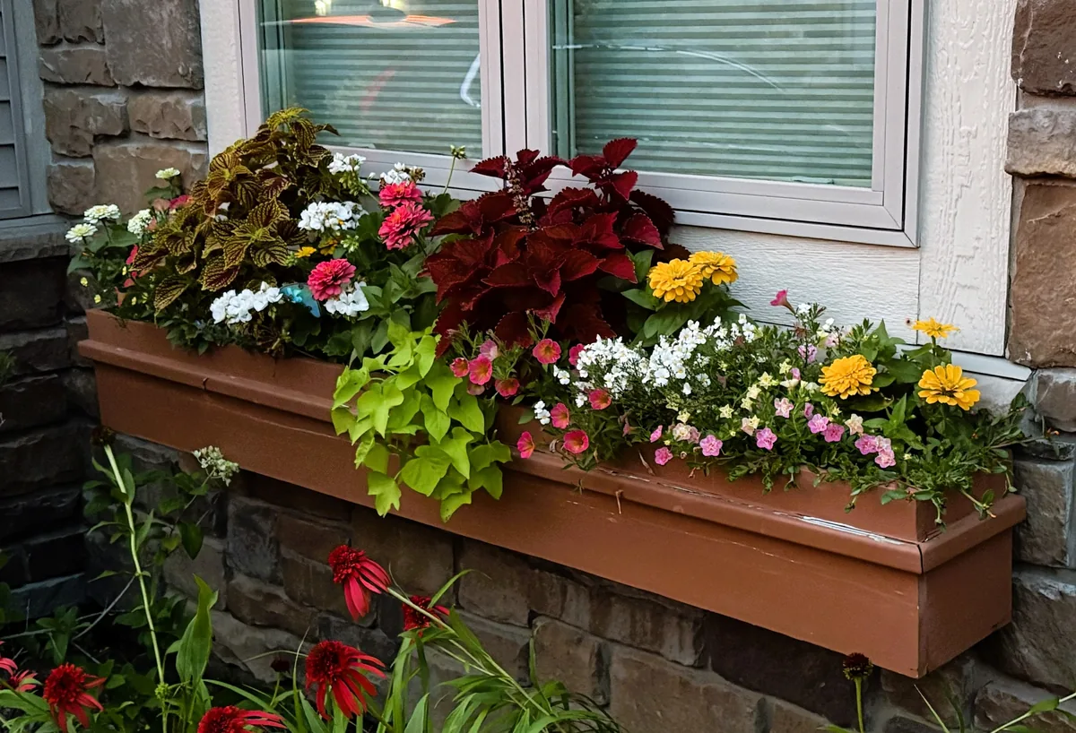 Container Plantings — Deer-Resistant