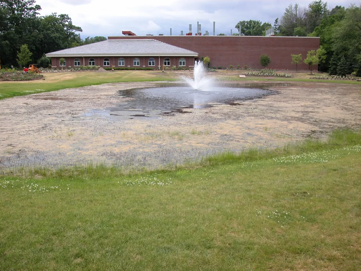 An Ornamental Grass Garden — before